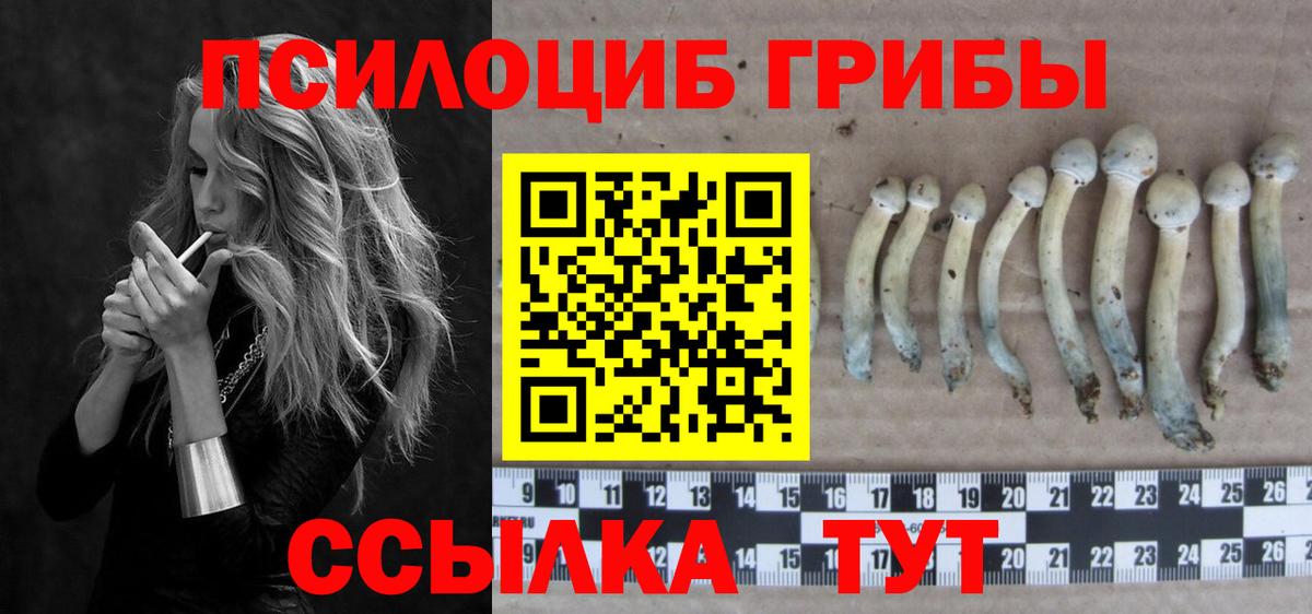 Галлюциногенные грибы прущие грибы  Псилоцибиновые грибы прущие грибы  Вход с VPN  Среднеуральск 